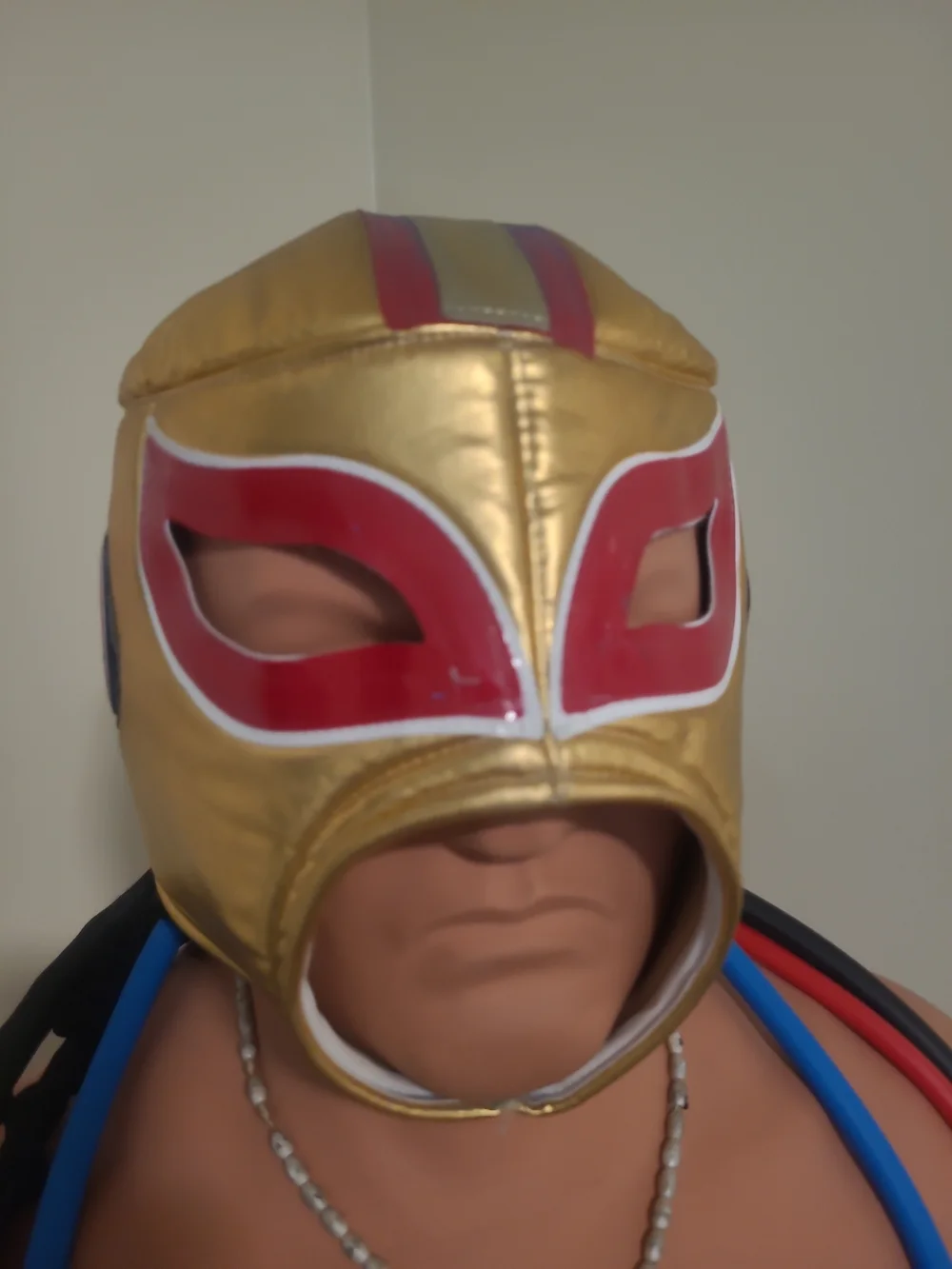 SAN FRANCISCO 49ers WRESTLING-LUCHADOR! GREAT FOR NFL FANS